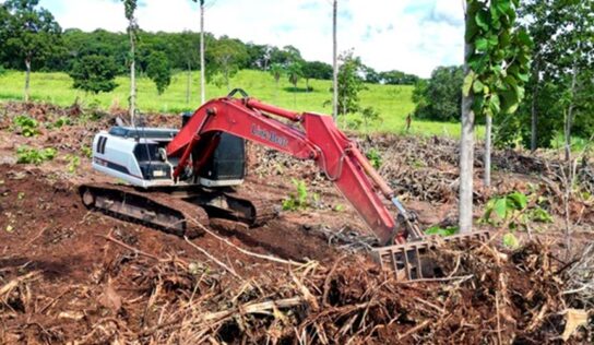 Link-Belt amplia vendas na América Latina em cenário de retomada