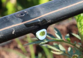 Netafim evolui comunicação da marca e reforça proximidade com o produtor rural