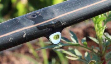 Netafim evolui comunicação da marca e reforça proximidade com o produtor rural