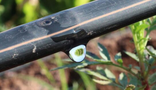 Netafim evolui comunicação da marca e reforça proximidade com o produtor rural