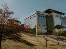 Centros de Competência Embrapii mapeiam o caminho da inovação tecnológica