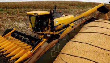 Safra recorde de milho expõe gargalo do frete e força produtor a antecipar vendas sem margem