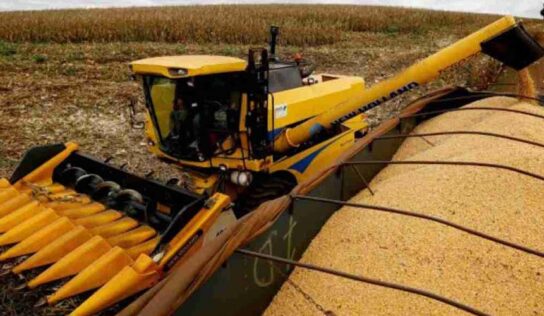 Safra recorde de milho expõe gargalo do frete e força produtor a antecipar vendas sem margem